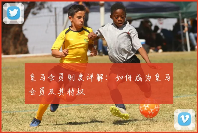 皇马会员制度详解：如何成为皇马会员及其特权